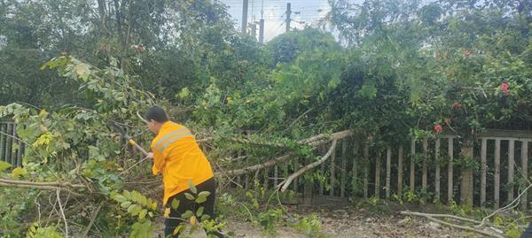 强化海南环岛高铁路外环境排查治理为博鳌亚洲论坛年会助力(图1)