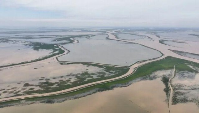 典型案例｜江西省鄱阳湖保护修复不力生态环境问题多发