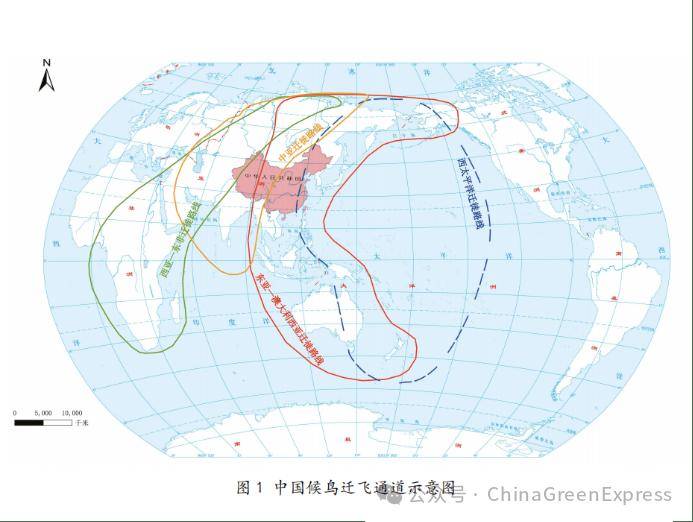 传播服务国际合作2024全球环境治理能力建设工作坊第23期（总第117期）(图3)