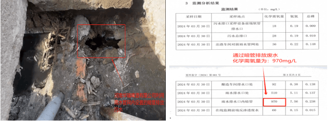 省生态环境厅发布2024年自动监测数据和第三方环保服务机构弄虚作假典型案例（16）(图1)