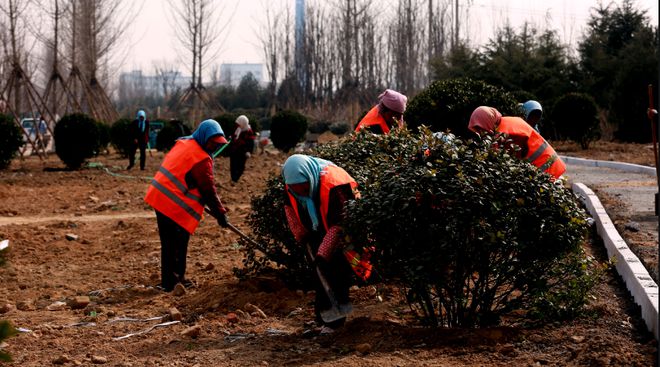 世界环境治理奇迹！我国台特玛湖干涸40年输水超90亿m³起死回生(图5)