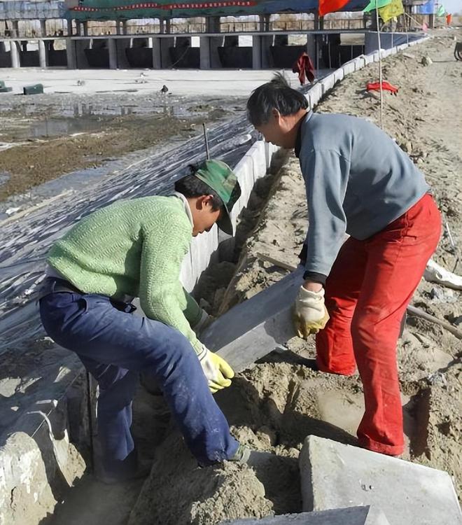 世界环境治理奇迹！我国台特玛湖干涸40年输水超90亿m³起死回生(图2)