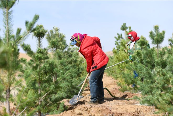 世界环境治理奇迹！我国台特玛湖干涸40年输水超90亿m³起死回生(图4)