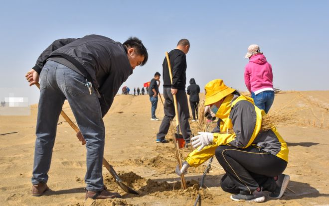 世界环境治理奇迹！我国台特玛湖干涸40年输水超90亿m³起死回生(图11)