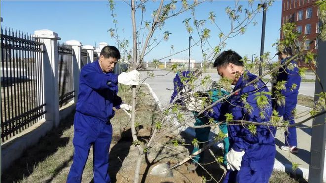 世界环境治理奇迹！我国台特玛湖干涸40年输水超90亿m³起死回生(图10)