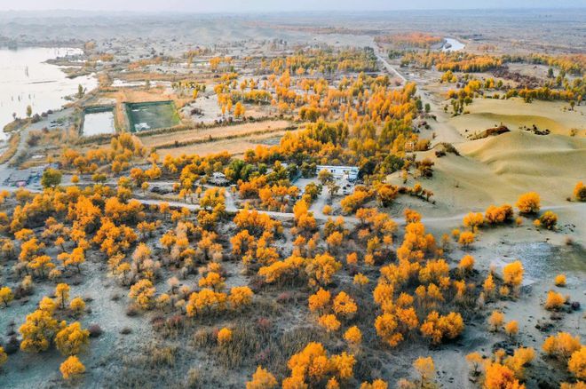 世界环境治理奇迹！我国台特玛湖干涸40年输水超90亿m³起死回生(图21)