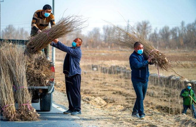 世界环境治理奇迹！我国台特玛湖干涸40年输水超90亿m³起死回生(图23)